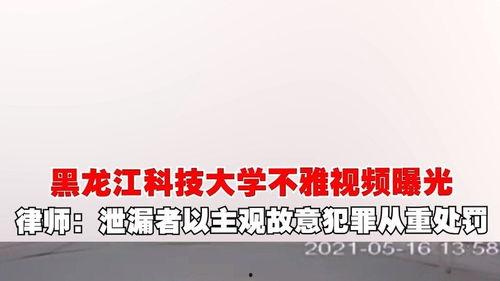 黑龙江学校爆料视频大全,揭秘校园内幕  第3张