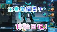 王者爆料最新爆料视频在线观看,最新视频揭秘游戏新内容与更新  第3张
