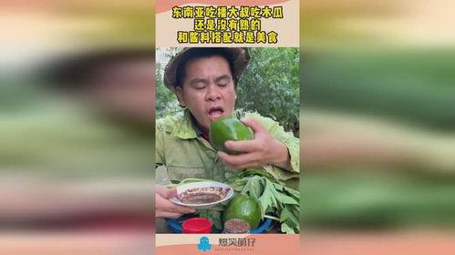 吃瓜大叔一免费吃瓜,吃瓜大叔带你畅享夏日清凉  第3张