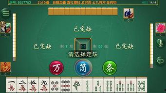 麻将配料爆料方法图解视频,图解视频深度解析  第2张